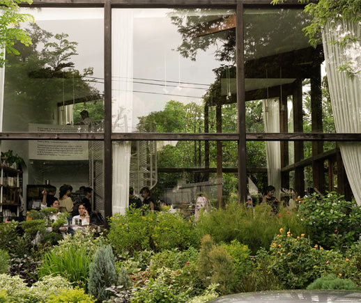 Bangkok’s Patom organic living, an eco-friendly forest café in the city.